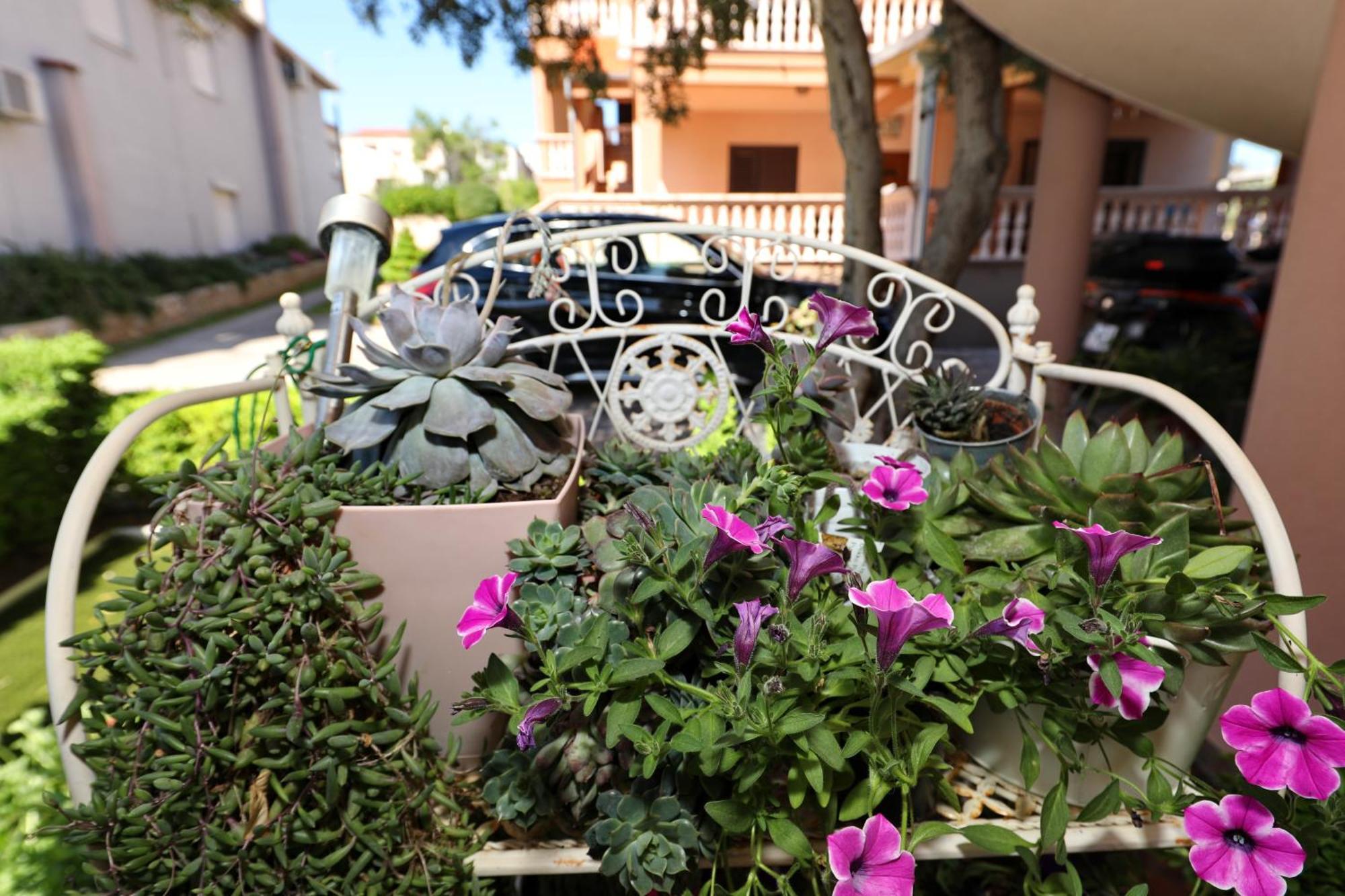 Villa Dalmatino Pakoštane Dış mekan fotoğraf